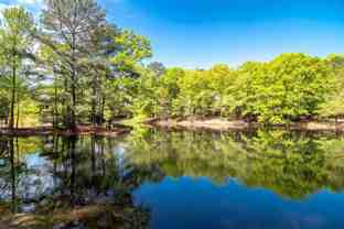 132 Wood Lake Drive - Photo 1 of 1