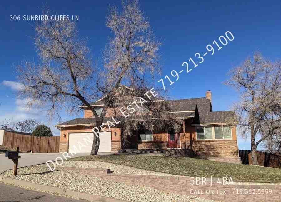 306 Sunbird Cliffs Ln - Photo 2 of 9