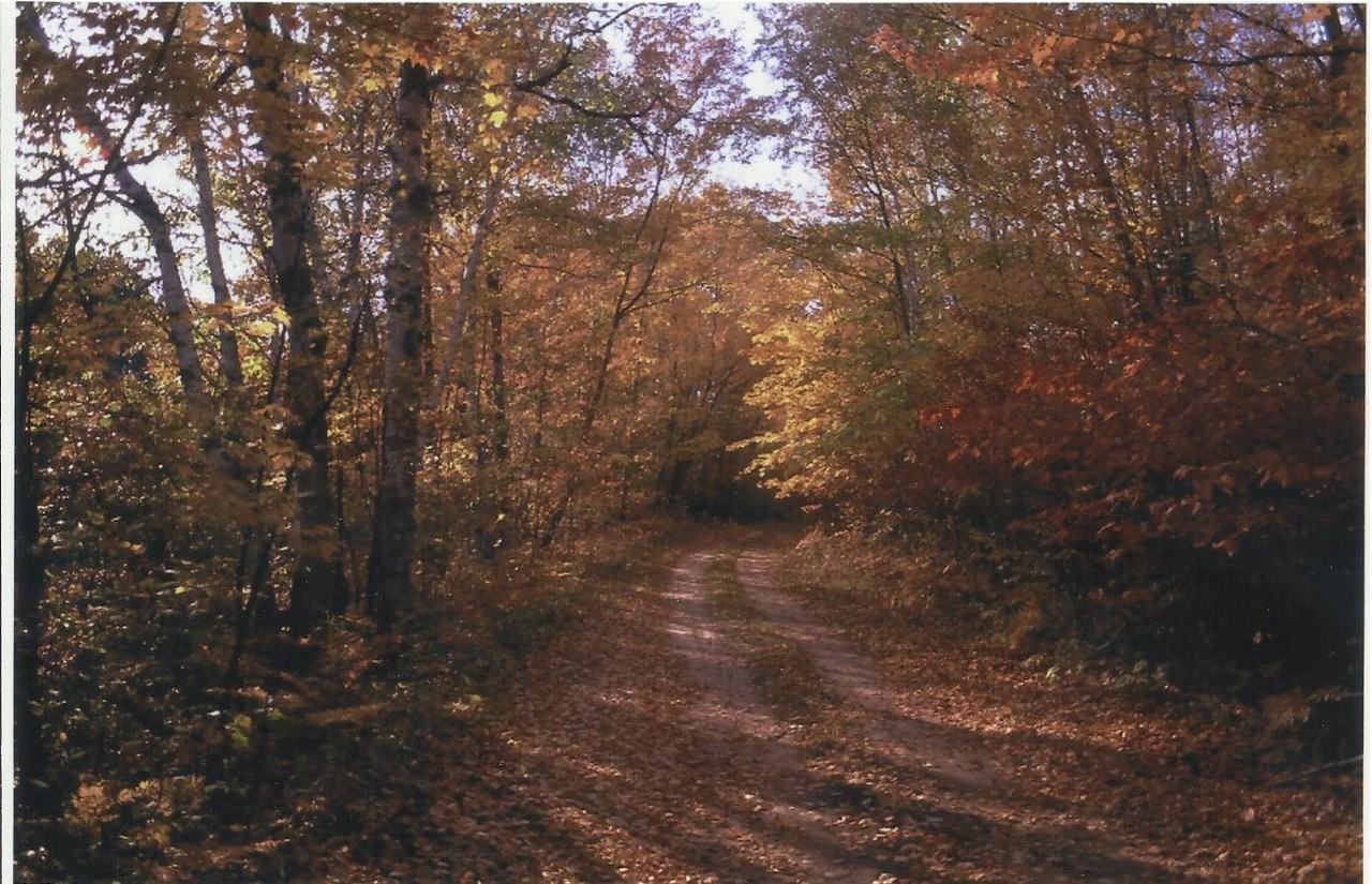 36195 N Star Ln - Photo 3 of 19