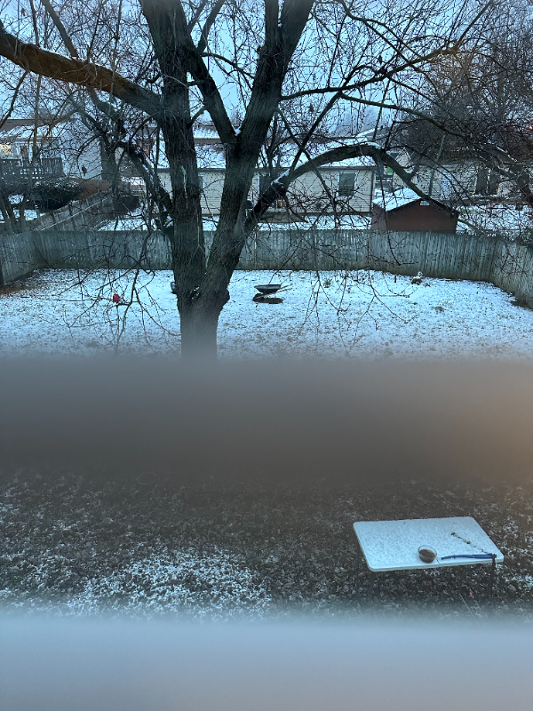 813 Coolee Ln - Photo 3 of 6