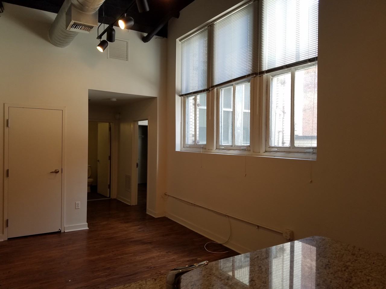 1510 Chestnut Street #302 - Photo 2 of 10