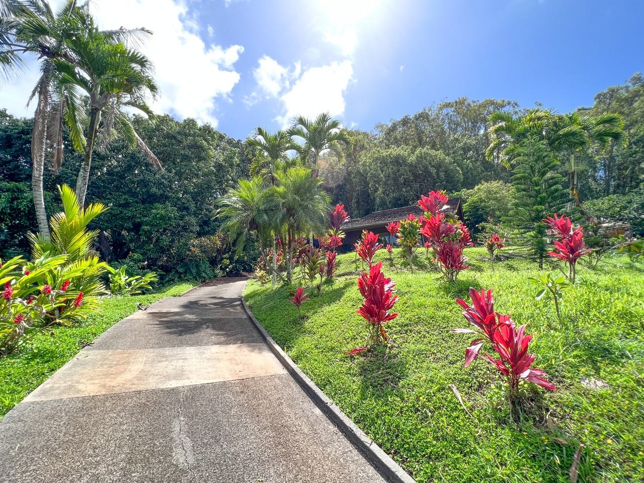 1323 Nahele Pl #NA - Photo 3 of 22