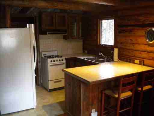 1028 Grizzly Mountain Rd - Photo 3 of 14