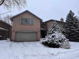8 Elliotwood Ct  