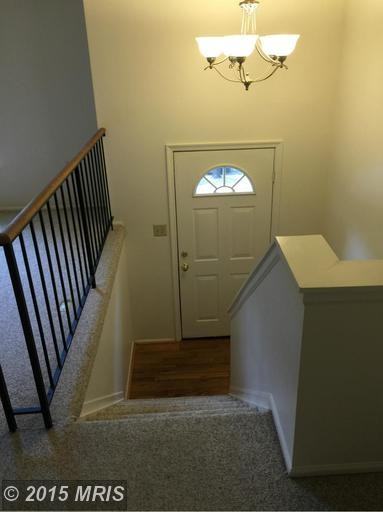 10106 Queen Mary Dr - Photo 2 of 16