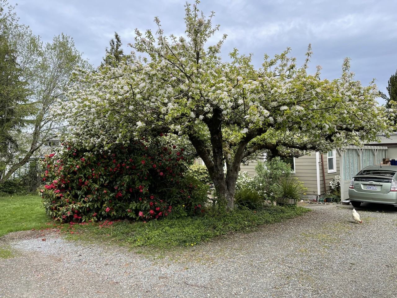 12036 26th Ave S - Photo 2 of 30