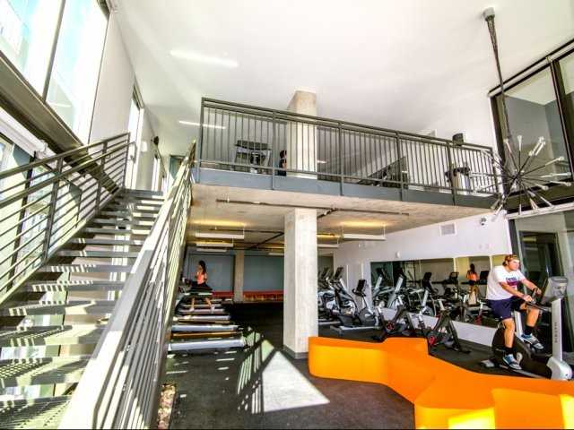 Luna - Photo 3 of 22