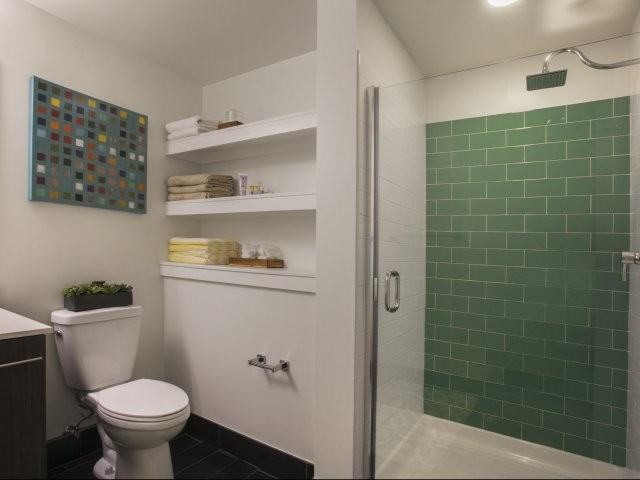 Luna - Photo 2 of 22