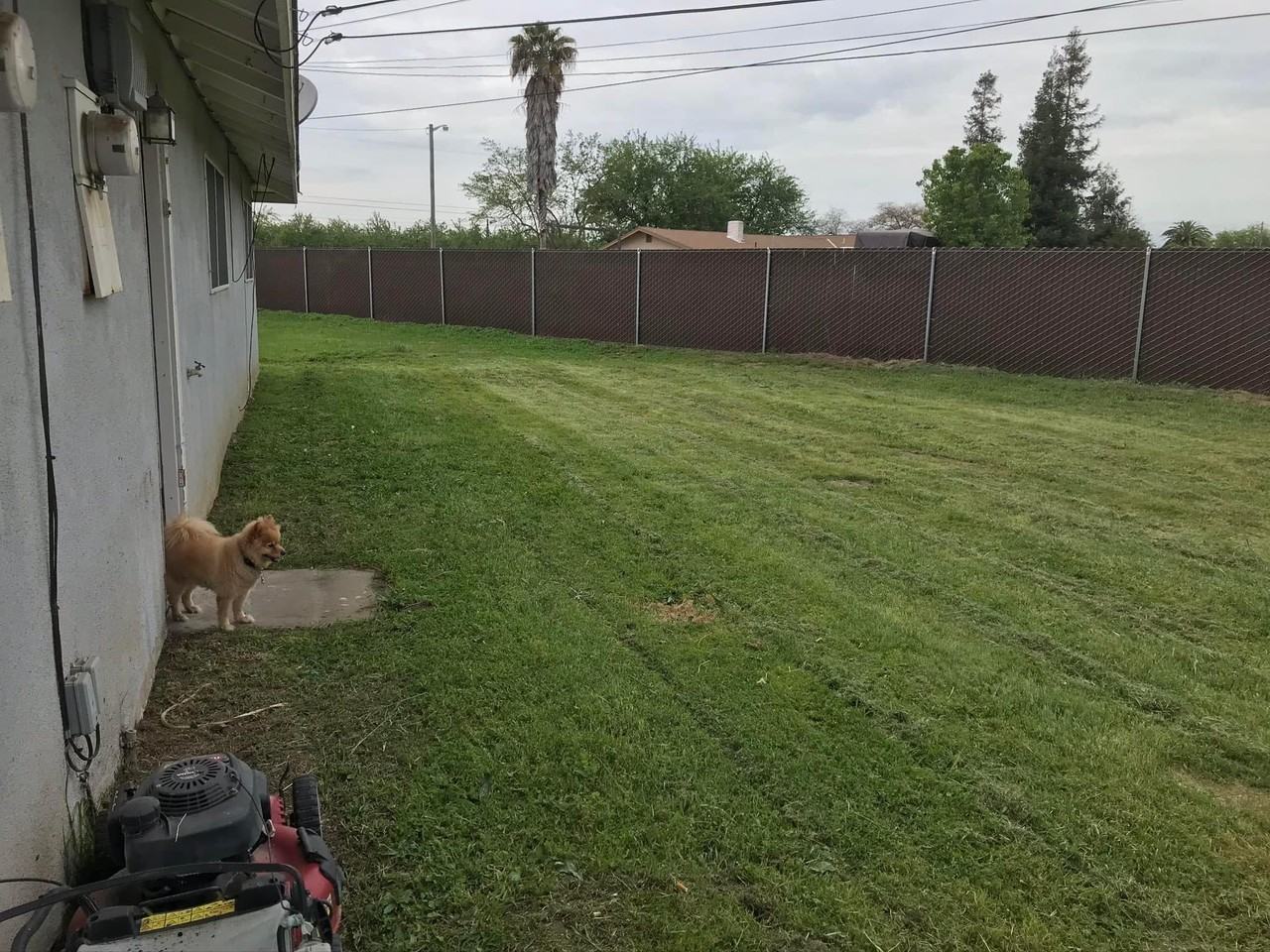 200 N Indiana Ave #3 - Photo 3 of 7