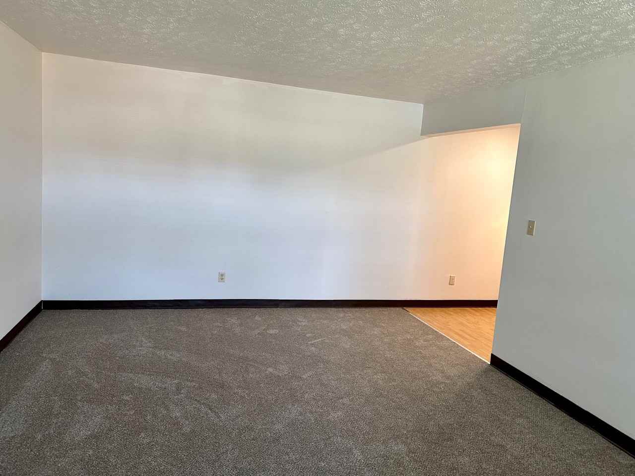 52 N Williams St #52-3 - Photo 3 of 12