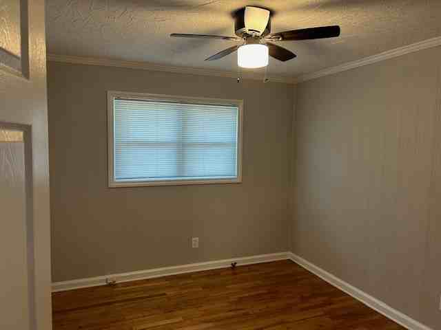 3404 Matilda Ln - Photo 7 of 13