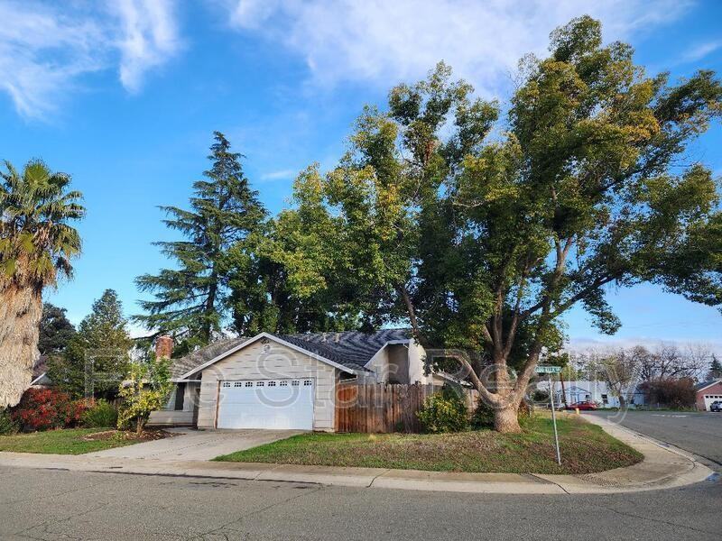 1813 Lou Ella Ln - Photo 2 of 22