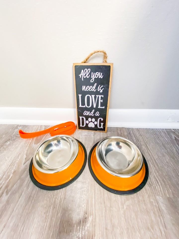 1106 Catalpa Circle - Photo 6 of 17