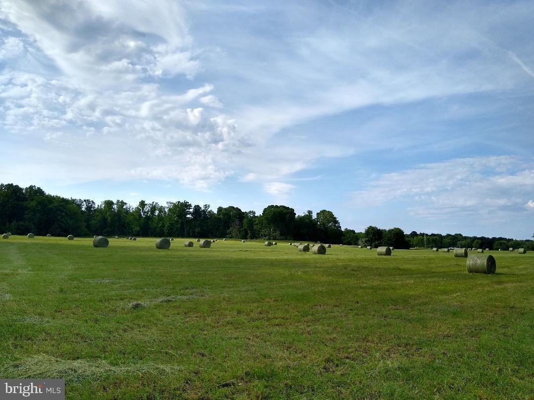 2805 Butterfly Pl - Photo 3 of 18