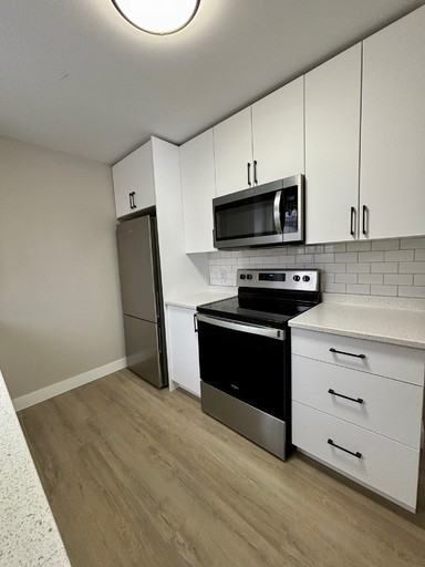 1163 Sydney St - Photo 2 of 13