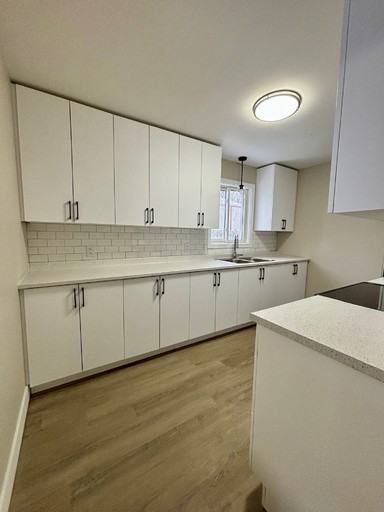 1163 Sydney St - Photo 3 of 13