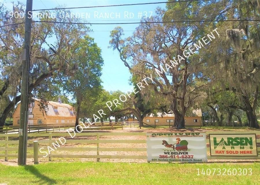 900 Spring Garden Ranch Rd - Photo 2 of 12