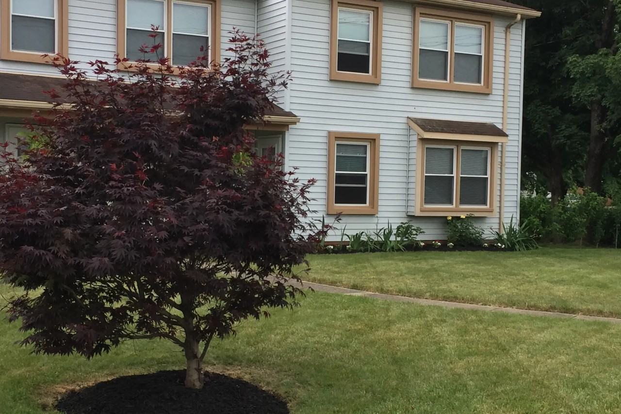 30620 Euclid Ave - Photo 2 of 31