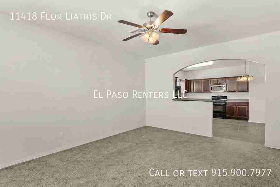 11418 Flor Liatris Dr - Photo 2 of 32