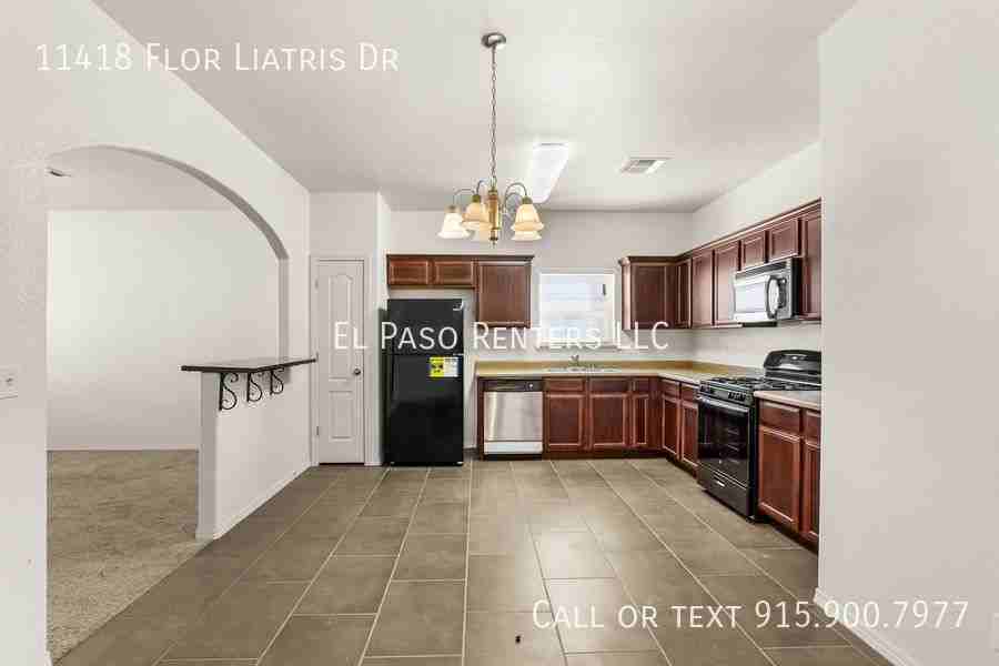 11418 Flor Liatris Dr - Photo 3 of 32