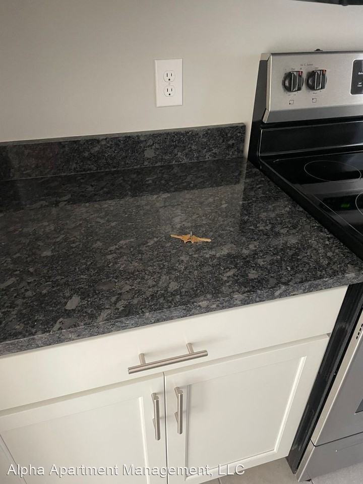 2119 Murray Hill - Photo 2 of 10