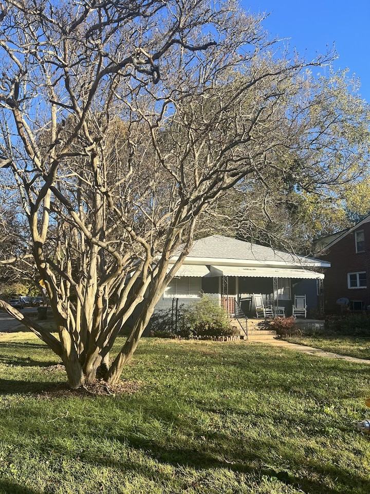 2514 Bedford Avenue - Photo 2 of 17