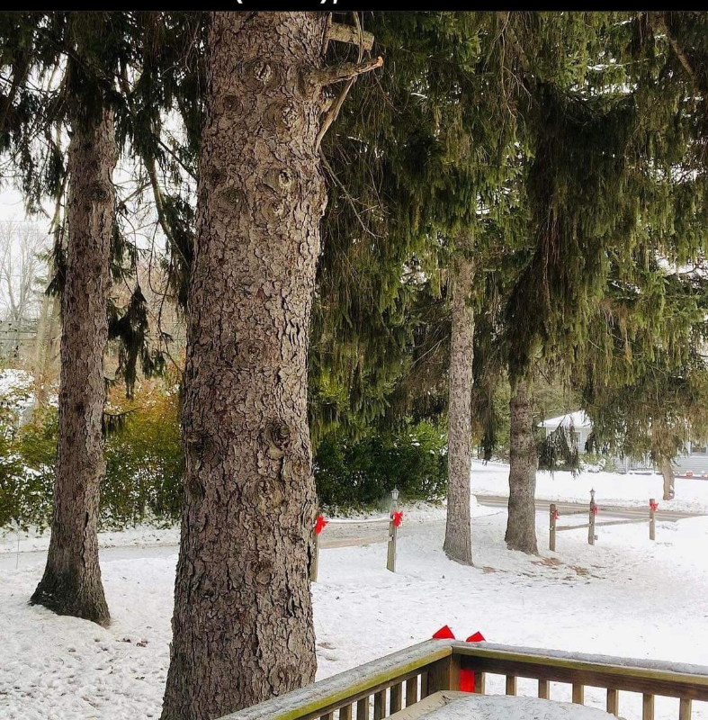 635 Van Alstyne Rd - Photo 2 of 12