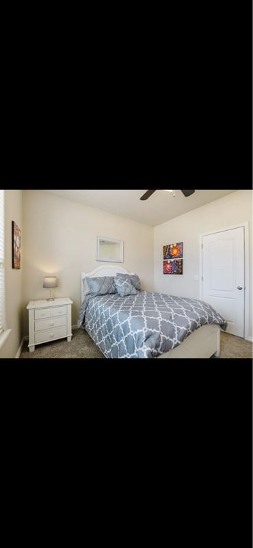 2584 N Shadow Crest Dr - Photo 7 of 13