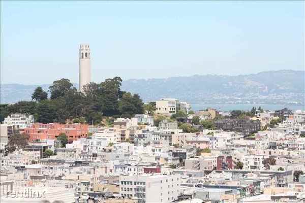 Bernard St Apartments in Nob Hill, San Francisco, CA 94133 Zumper