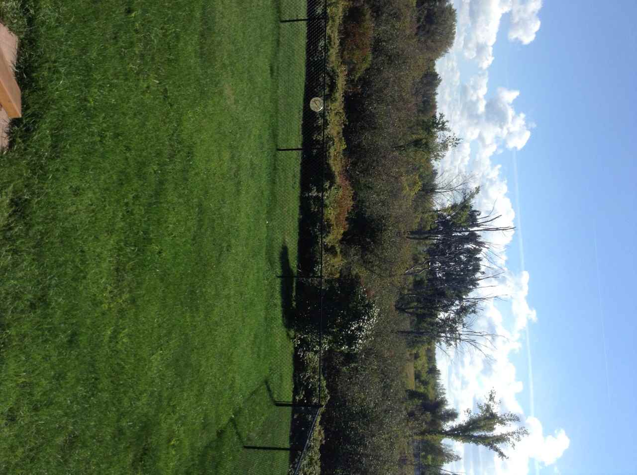 31285 Gardnerville Rd - Photo 2 of 13