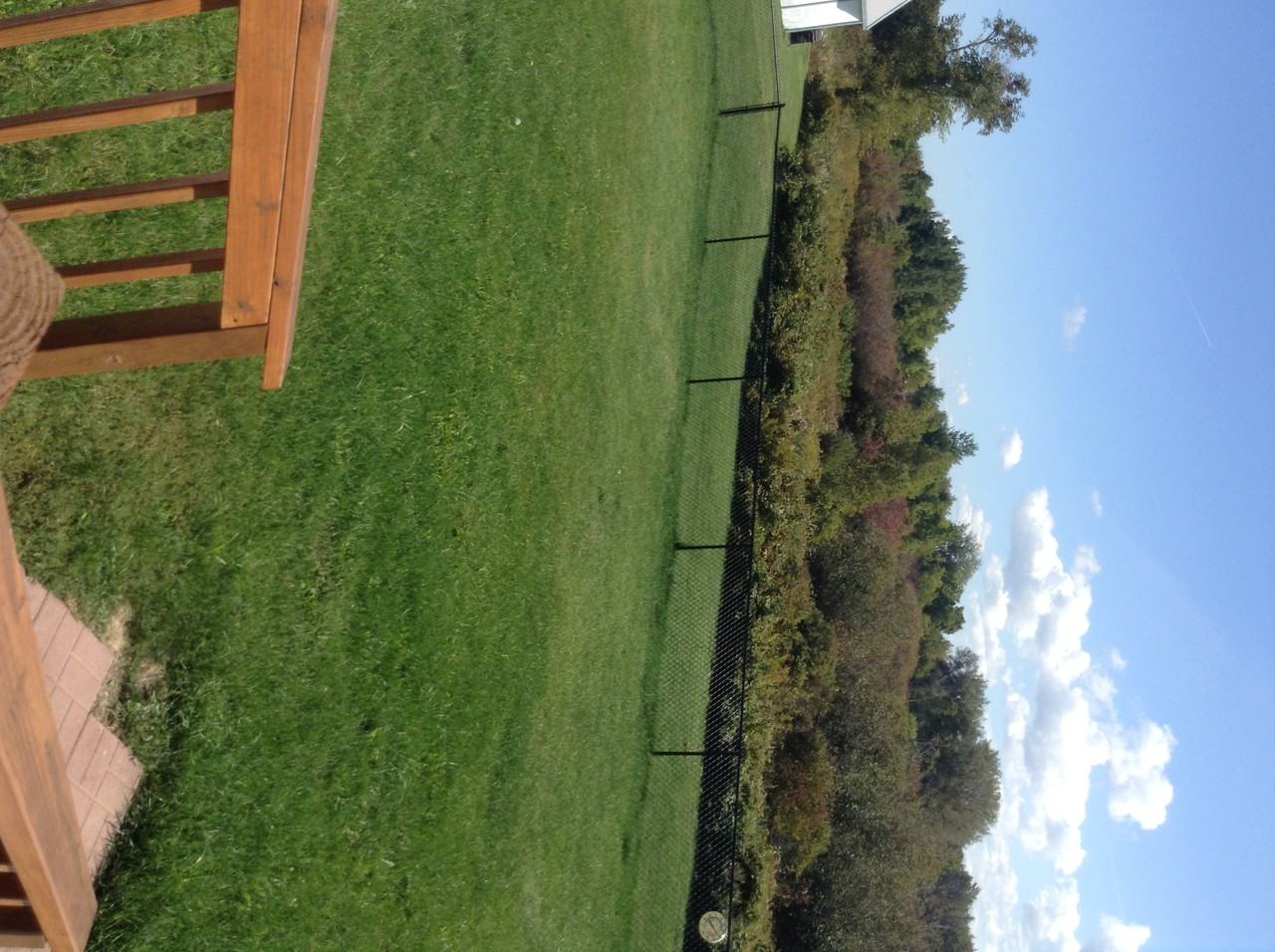 31285 Gardnerville Rd - Photo 3 of 13