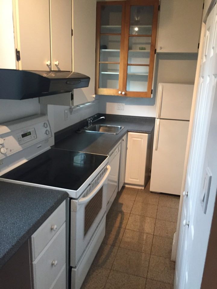 81 Somerset Street West - Photo 3 of 9