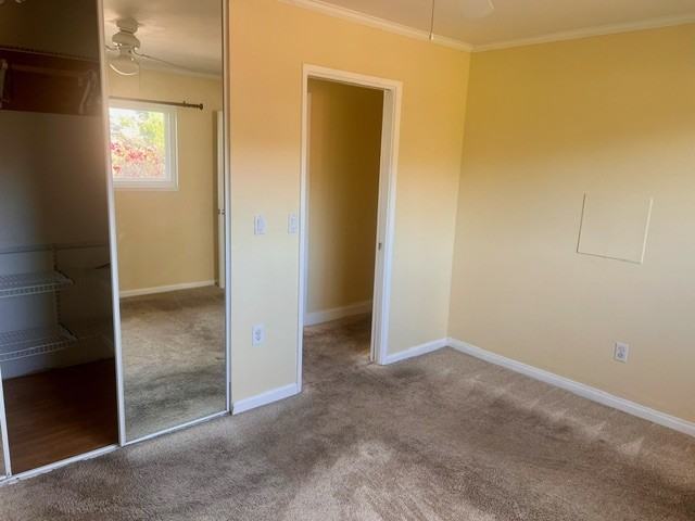 4728 Mount Saint Helens Drive - Photo 7 of 15