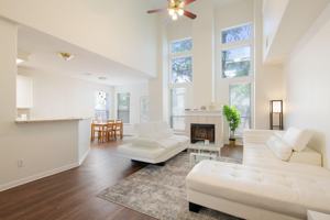 featured image of Geese Rte