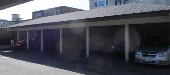 1243 Park Terr #6 - Photo 3 of 11