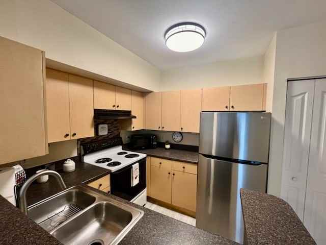 723 Siena Palm Dr - Photo 5 of 19