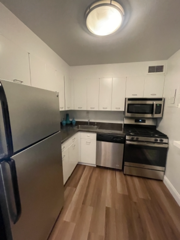 1336 N Lake Shore Dr - Photo 5 of 12