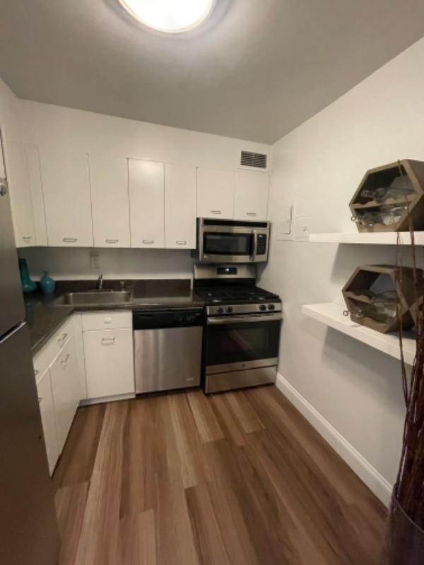 1336 N Lake Shore Dr - Photo 6 of 12