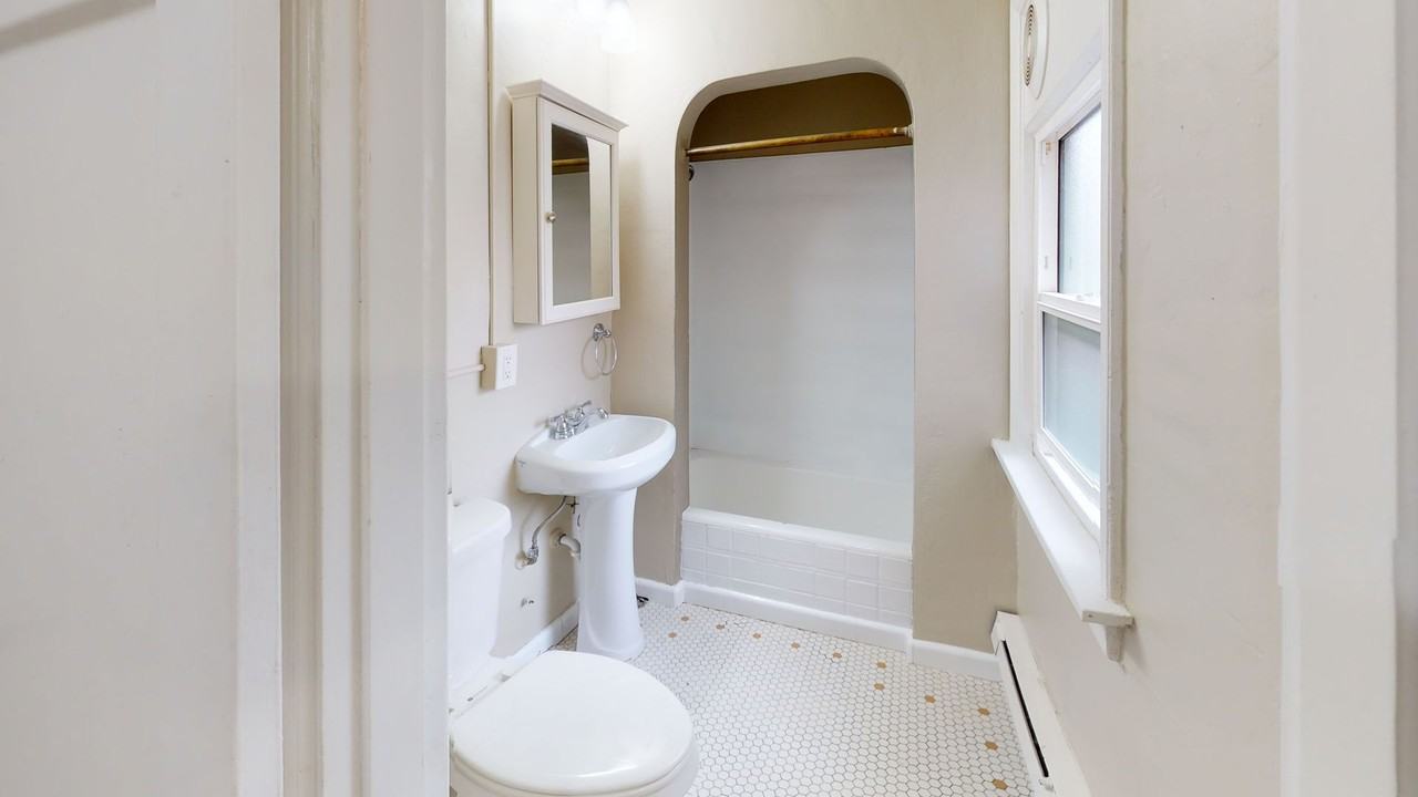 Gordon - Photo 3 of 11