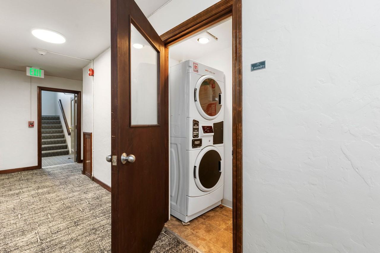 Gordon - Photo 5 of 11