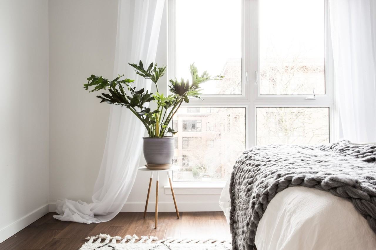 Don't Miss OUR Recent PRICE  DROP for Limited Time! - Photo 4 of 34