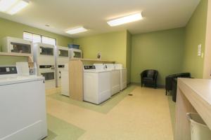 featured image of 3351 Cove Lake Drive