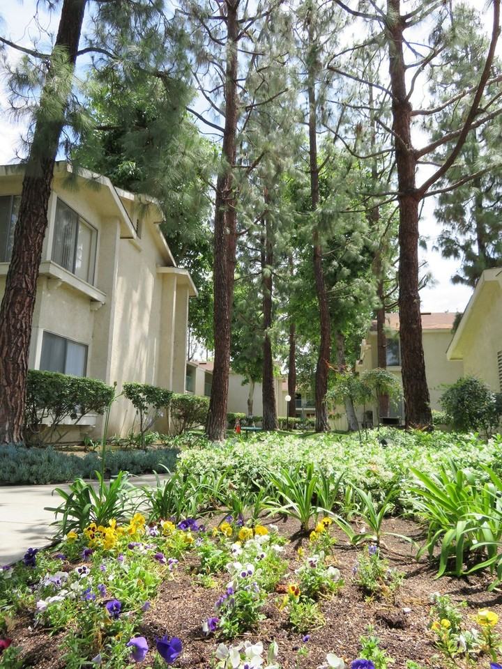 Jasmine Villas - Photo 4 of 46