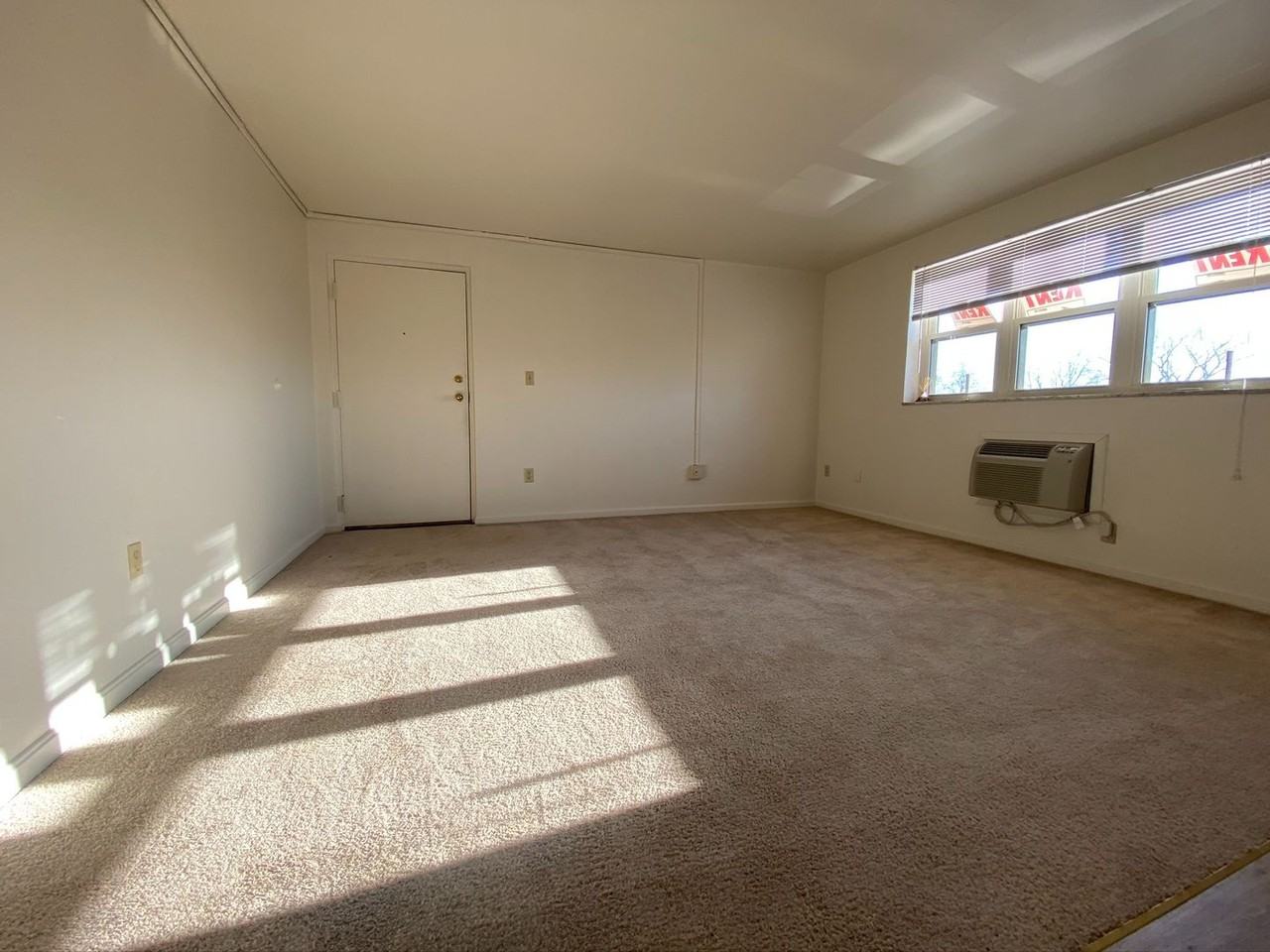 Laurel - Photo 5 of 17