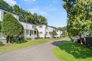 featured image of 41 Wolfpit Ave