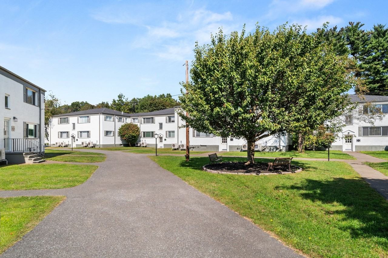 41 Wolfpit Ave - Photo 7 of 50