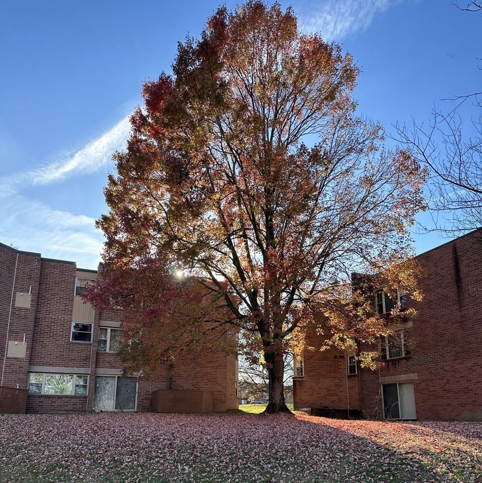 Summit Apartments Latrobe, PA 206 N Shenandoah Dr, Latrobe, PA