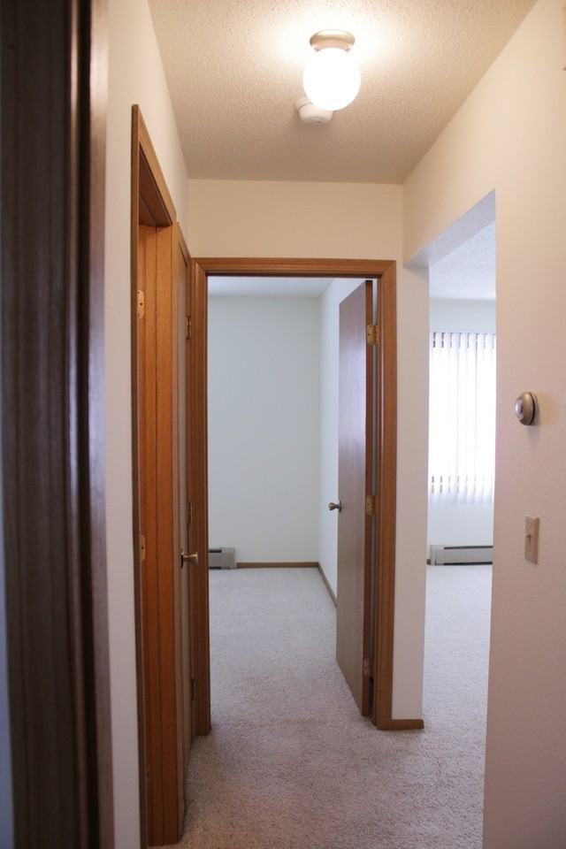 Williamsburg - Photo 5 of 9