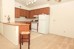 Beechwood - Photo 1 of 1