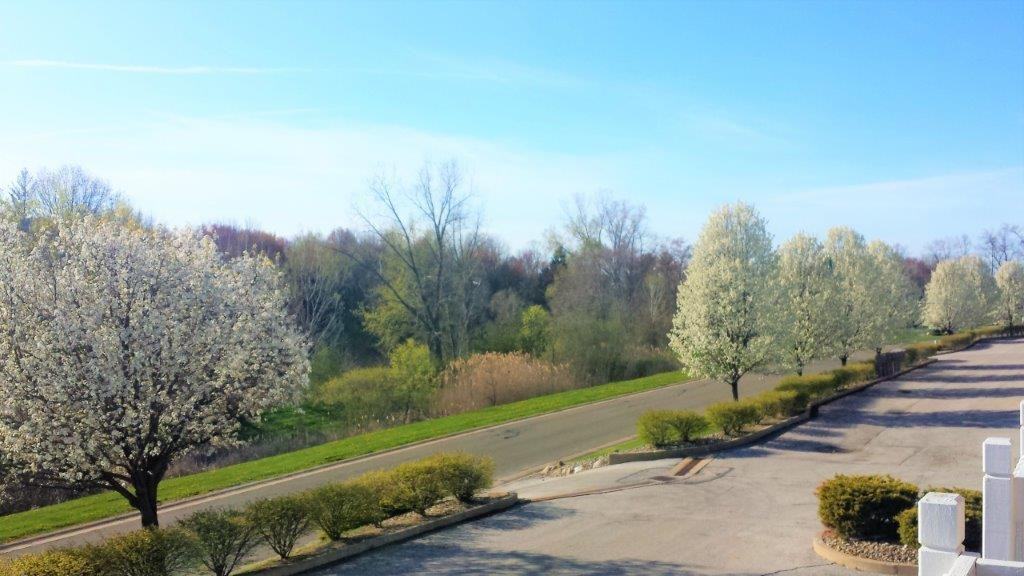 Long Drive Townhomes - Photo 5 of 16